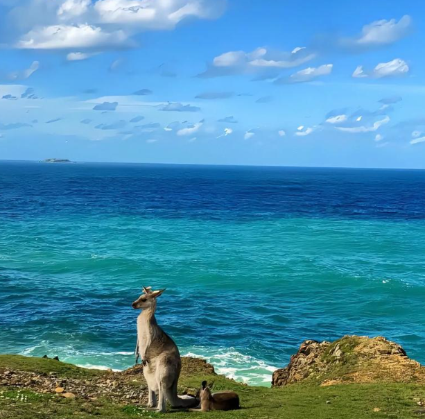 澳大利亚新南威尔士州将禁止新建煤矿