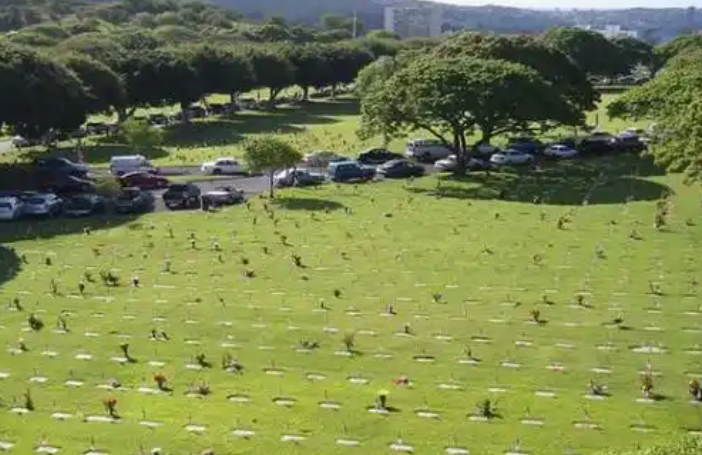 Punchbowl：特朗普拟本周与国会民主党领袖会面